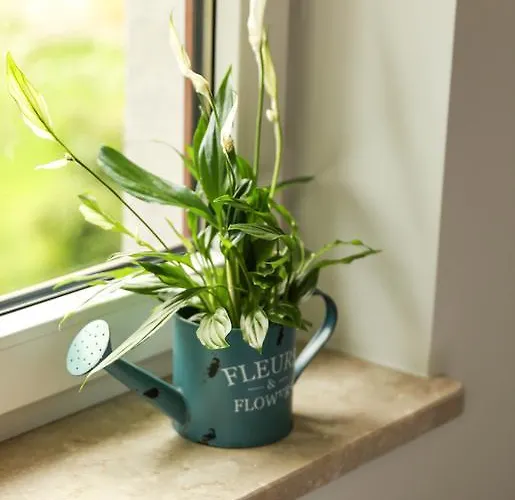 Na Poddaszu 22 ファームステイ